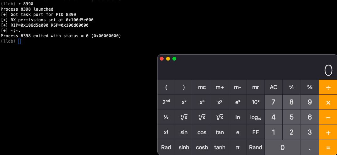 lldb debugging the injection
